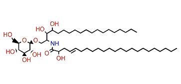Iotroridoside B